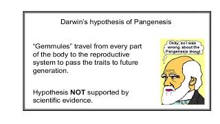 Pangenesis Video No 568 [upl. by Pik]