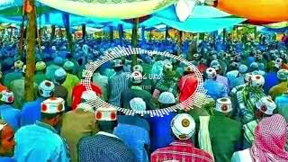 ሼህ ሻሚል ምርጥ የ ሼሆች ቃጥባሬ ሀድራ  seyhe shamil New Katbare Menzuma 2023 menzumatube [upl. by Zohara]