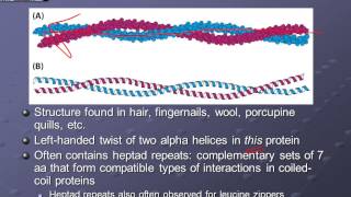 CHEM 315 Ch02C 1 Motifs amp Domains F13 [upl. by Xever]