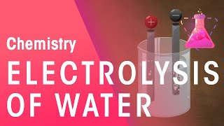 Electrolysis of Water amp Hydrochloric Acid  Reactions  Chemistry  FuseSchool [upl. by Chrotoem191]