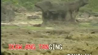 UNANG PAGIBIG by Claire dela Fuente Dyna Vision [upl. by Oconnor610]