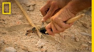 Scorpion Kill Survival Skills  The Great Human Race [upl. by Declan]