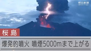 桜島で爆発的噴火 噴煙5000mまで上がる [upl. by Iaw]