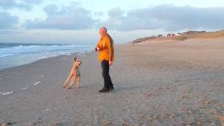 Abends am Strand [upl. by Stelmach]