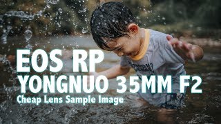 Testing the cheap 35mm F2 Yongnuo lens on EOS RP [upl. by Alf307]