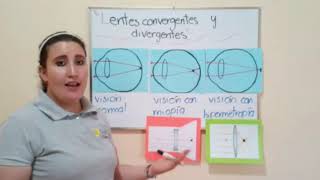 6to Primaria  Lentes convergentes y divergentes [upl. by Nauwaj]