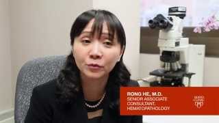 CALR Mutation Analysis Myeloproliferative Neoplasm MPN [upl. by Wyon]