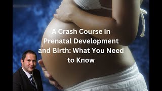 A Crash Course in Prenatal Development and Birth What You Need to Know [upl. by Natsrik]