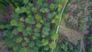 4k Drone footage Combe Hill Woods near Somerton Somerset Sunset [upl. by Naaitsirhc587]