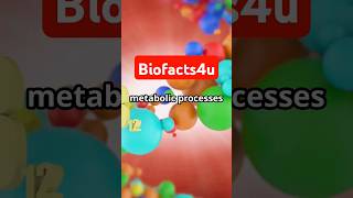 Nutrients  Part 5 Digestion science facts biology metabolism food [upl. by Leonhard98]