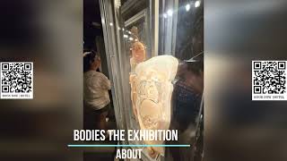 Bodies The Exhibition [upl. by Matronna]