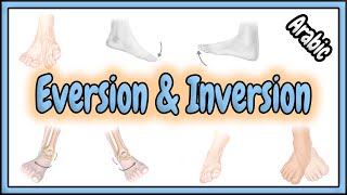 31 Eversion amp Inversion Terms  مصطلحات الإنقلاب الخارجي و الإنقلاب الداخلي [upl. by Lenna]