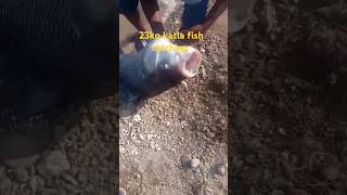 23kg katla fish catching river fishing [upl. by Adebayo224]