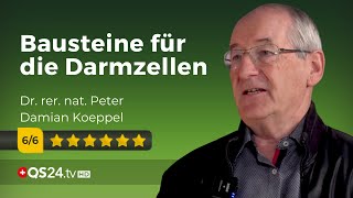 Leaky Gut und Co Die Lösung für den Darm  Dr rer nat Peter D Koeppel  Naturmedizin  QS24 [upl. by Assetan]