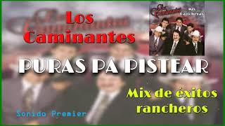 MIX LOS CAMINANTES RANCHERAS PA PISTEAR SABROSO [upl. by Gies175]