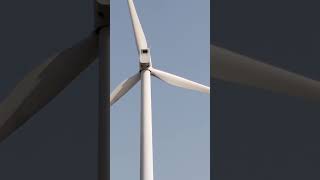 Wind farm dharmeshshortfilm dharmeshchauhan windfarm windhouswindviwnetrural villagelife [upl. by Toy]