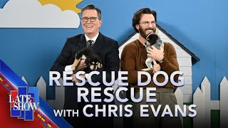 Rescue Dog Rescue with Chris Evans [upl. by Lynd823]