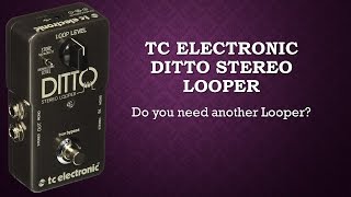 TC Electronic Ditto Stereo Looper [upl. by Vaules290]