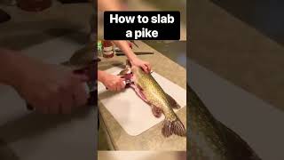 How to fillet a NORTHERN PIKE Part 1 of 3 fish fishing [upl. by Sheri958]