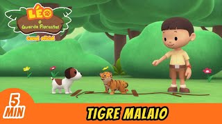 Tigre Malaio 🐅  Leo O Guarda Florestal  Minisode  Animação [upl. by Ramsay]