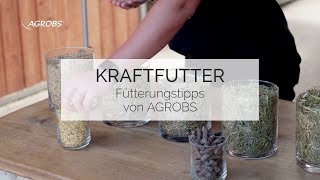 Kraftfutter für Pferde  Fütterungstipps von AGROBS [upl. by Fenton817]