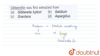 Gibberellin was first extracted from [upl. by Paz]