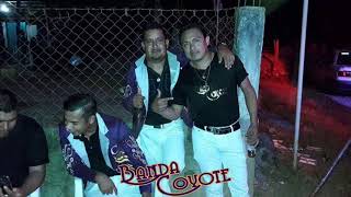 Mix Corridos  Banda Coyote De Sabanillas Gro [upl. by Einamrej]