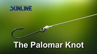 Fishing KnotsPalomar Knot【SUNLINE KNOT SCHOOL】 [upl. by Hna]