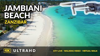 Jambiani Zanzibar 4K ❤️ Cinematic Drone Footage  2021 [upl. by Ahseenak]