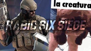 the new season of rainbow six siege gave me rabies [upl. by Tehr]