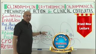 Prokaryotic Protein Synthesis  Translation🩺 [upl. by Bradan826]