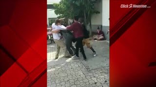 Video surfaces of Parkland suspected shooter fighting at school [upl. by Tallbott]