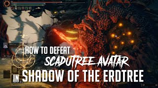 How to Defeat Scadutree Avatar in Shadow of the Erdtree Easy Kill [upl. by Cirdnek]