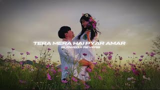 Tera Mera Hai Pyar Amar Slowed  Reverb  Rain Ahmed Jahanzeb  Ishq Murshid  OST  Ameen Fahim [upl. by Archibold400]