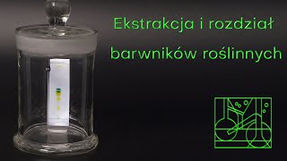 Ekstrakcja i rozdział barwników roślinnych [upl. by Aloiv]