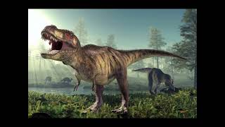 Herbivore  Carnivore  Omnivore dinosaurs [upl. by Damha69]