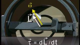 TP de Physique 3  Le moment cinétique 2  Le gyroscope [upl. by Means566]