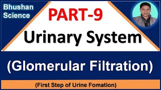 PART 9 Urinary System  Glomerular Filtration  B Pharm GPAT Nursing Medical [upl. by Anerehs215]