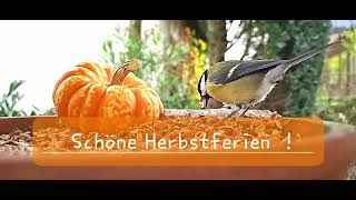 Schöne Herbstferien [upl. by Landau978]