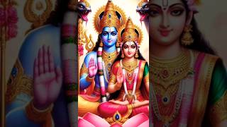 Shree Laxmi Narayan Mantra 🌺💕🌺 Vs meri duniya 🌍 [upl. by Fulcher]