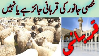 khassi janwar ki qurbani karna kaisa hai  qari nazir hussain rabani  خصی جانور کی قربانی کرنا [upl. by Newsom625]