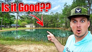 FIRST TIME Fishing My Backyard Pond It’s LOADED [upl. by Rehprotsirhc]