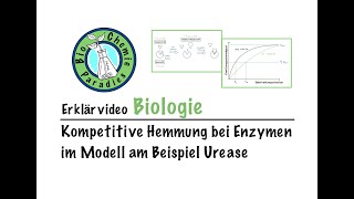 Erklärvideo Biologie – Kompetitive Hemmung bei Enzymen am Beispiel Urease [upl. by Lippold]