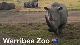 Werribee zoo Melbourne 🇦🇺 [upl. by Nerwal]