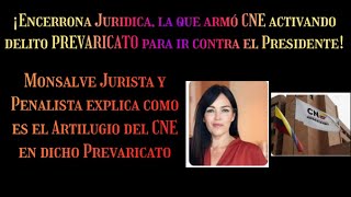 ¡QUE ENCERRONA POLITICA TREMENDA CON PREVARICATO EN EL CNE PARA JUZGAR AL PRESIDENTE PETRO¡ [upl. by Yunick]