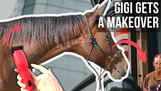 GIGI JANE  From hippie hair to military cut  Horse makeover part 2 [upl. by Winona]