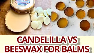 Candelilla wax vs Beeswax for Lip Balms Results and recipe included [upl. by Oiramed764]