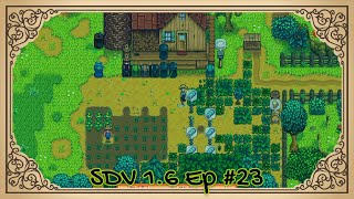 The Meadowlands Episode 23 Super Growing Greens SDV 16 Lets Play [upl. by Retniw]