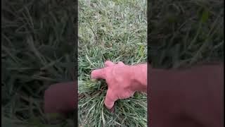 The trouble with crabgrass yard diy tips [upl. by Uella847]