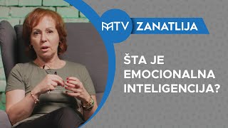 ŠTA JE EMOCIONALNA INTELIGENCIJA  TATJANA KLJUN ZANATLIJA EMOCIONALNE INTELIGENCIJE 01 [upl. by Evelc]